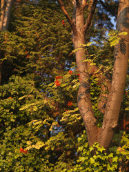 Similar image 8016133