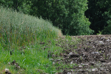 Similar image 8016136