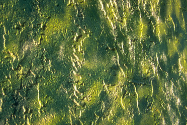 Similar image 8016137