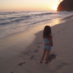 Similar image 8016138