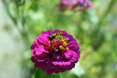 Similar image 8016141