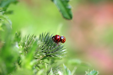 Similar image 8016143