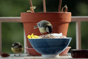 Similar image 8016146