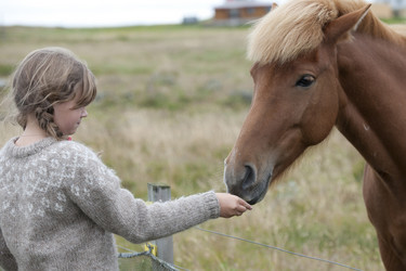 Similar image 8016147