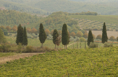 Similar image 8016156