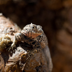 Similar image 8016161