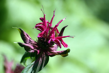 Similar image 8016162