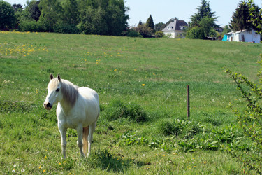 Similar image 8016167