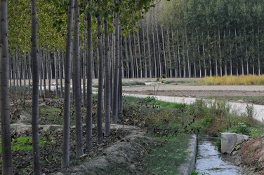 Similar image 8016171