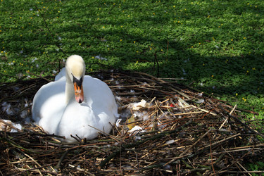 Similar image 8016174