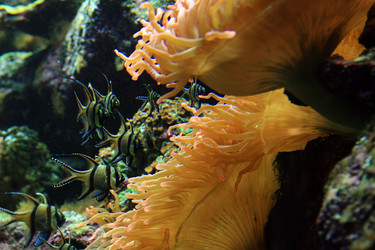 Similar image 8016176