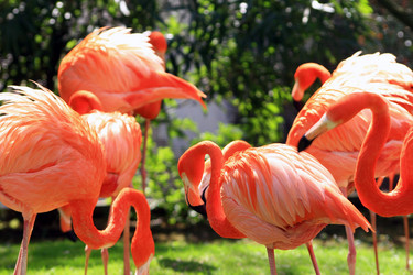 Similar image 8016179