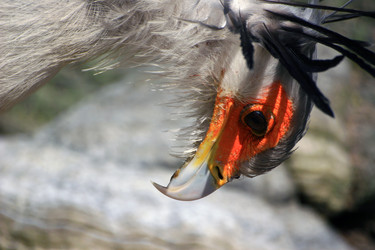 Similar image 8016191