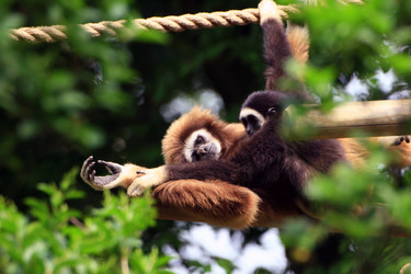 Similar image 8016198