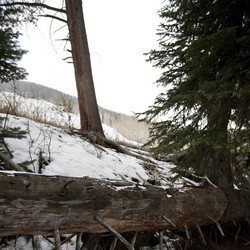 Similar image 8016203