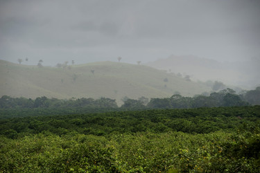 Similar image 8016205