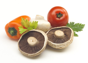 Similar image 8016207