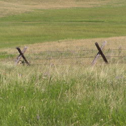 Similar image 8016212