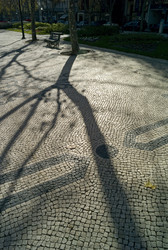 Similar image 8016230