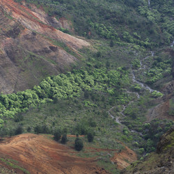 Similar image 8016232