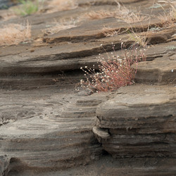 Similar image 8016233