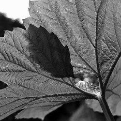 Similar image 8016256