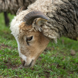 Similar image 8016257