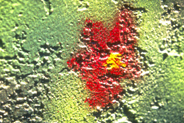 Similar image 8016269