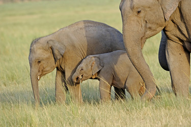 Similar image 8016272