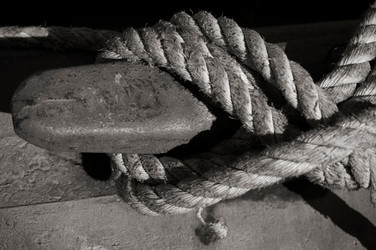 Similar image 8016277