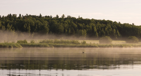 Similar image 8016279