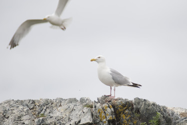 Similar image 8016296