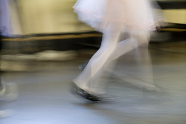 Similar image 8016297