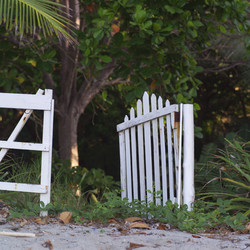 Similar image 8016300