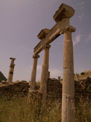 Similar image 8016301