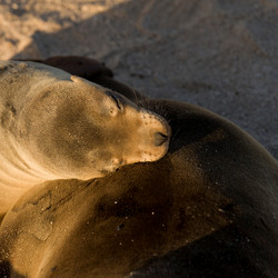 Similar image 8016315