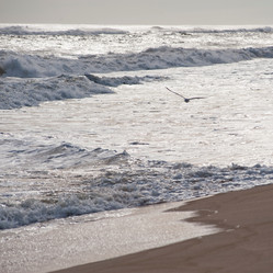 Similar image 8016319