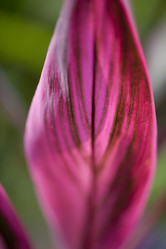 Similar image 8016329