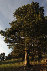 Similar image 8016330