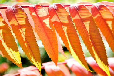 Similar image 8016331