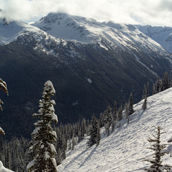 Similar image 8016332