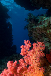 Similar image 8016336