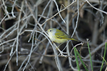 Similar image 8016340