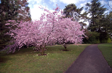 Similar image 8016348