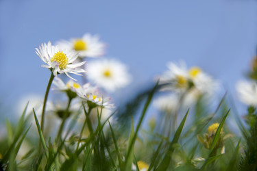 Similar image 8016353