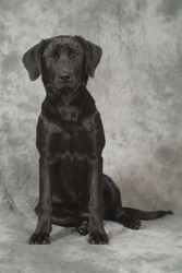 Similar image 8016356