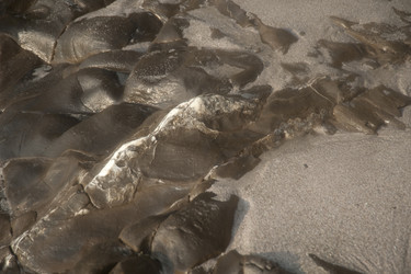 Similar image 8016361