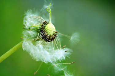 Similar image 8016363