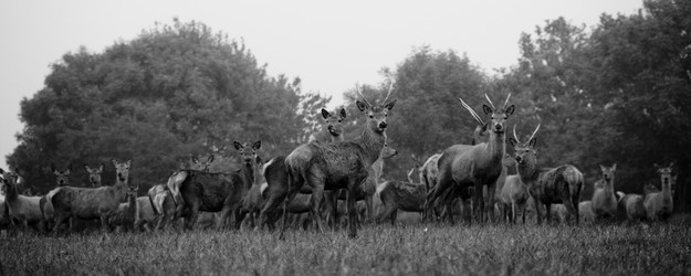 Similar image 8016388