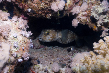 Similar image 8016396